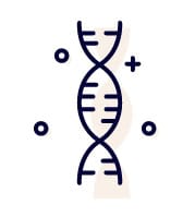 picto gene addition