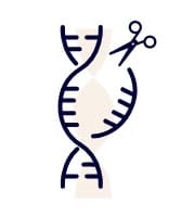 picto gene editing