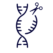 picto gene editing