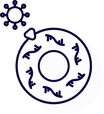 picto FlashRNA