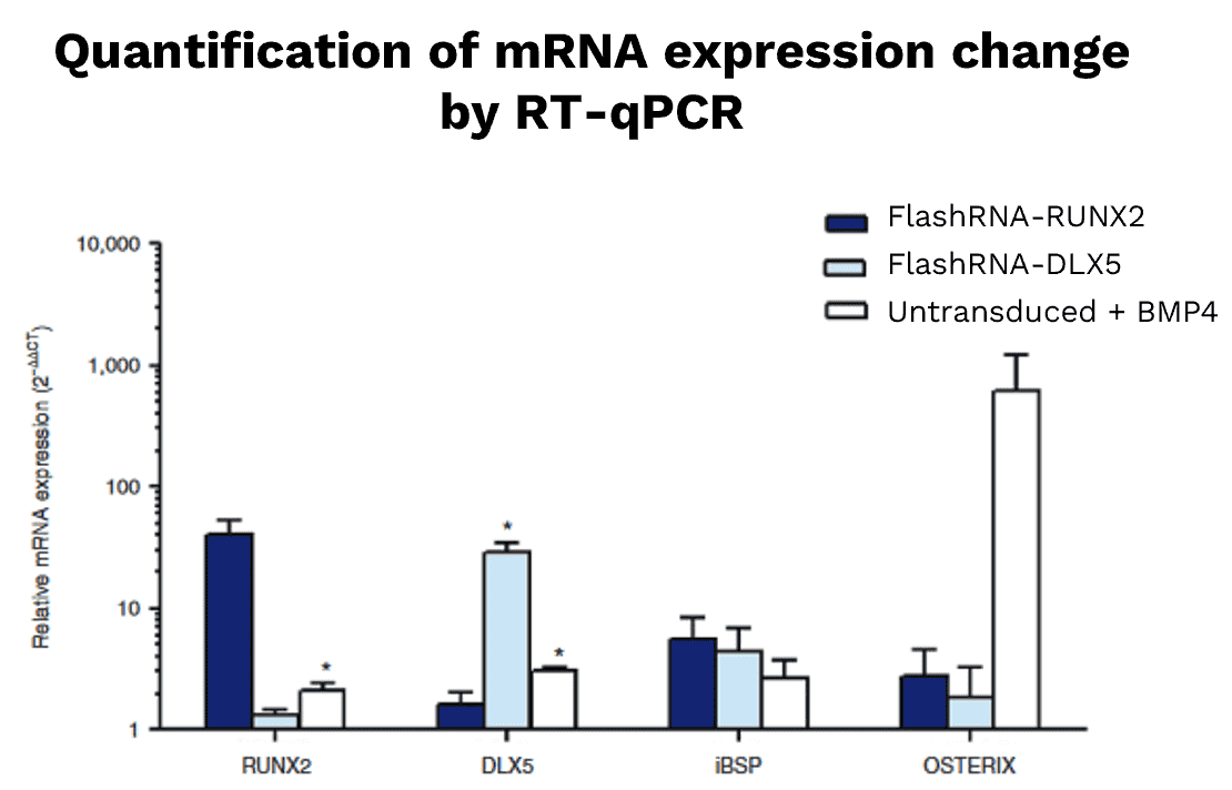 mRNA quantification of MSC differentiation factors