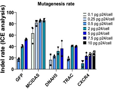 gene editing efficiency in iPSCs